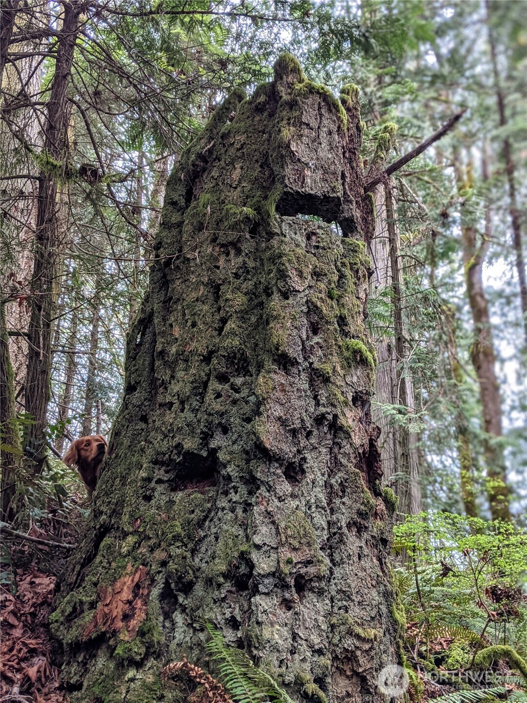 2998 Oak Bay Road Port Hadlock, WA 98339 - Photo 10 of 28 a view of a large building