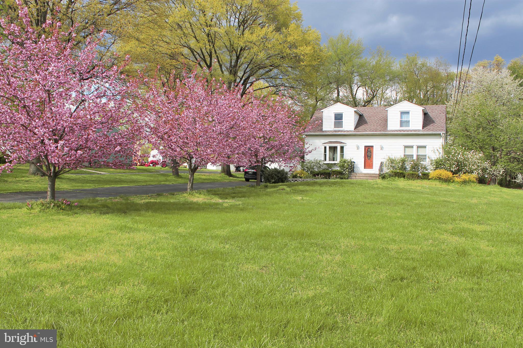 2412 Church Road Cinnaminson, NJ 08077 - Photo 3 of 52 Beautiful flowering trees line the driveway