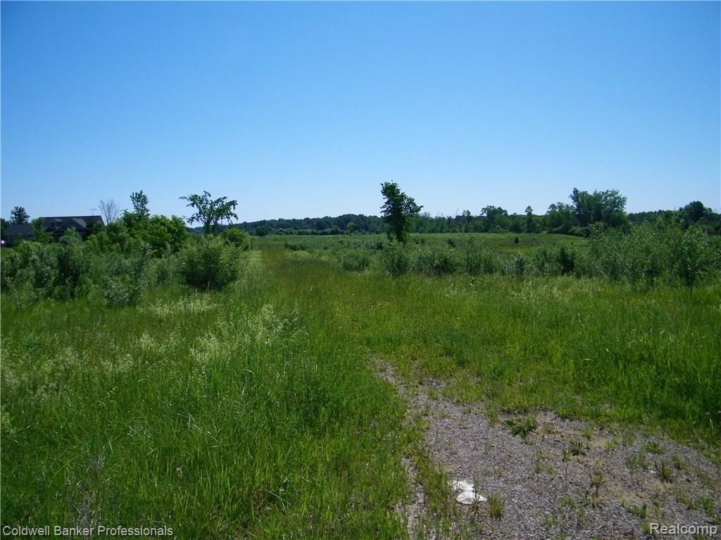Par C Wheeling Road Imlay City, MI 48444 - Photo 3 of 8