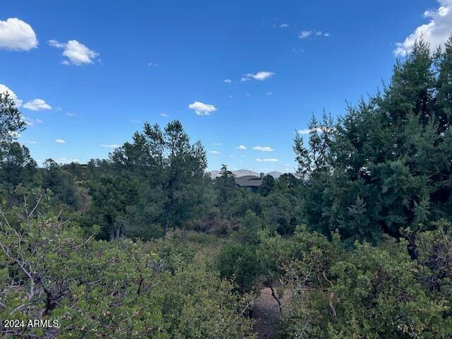 2314 East Blue Bell Circle, Unit 143 Payson, AZ 85541 - Photo 3 of 13 52