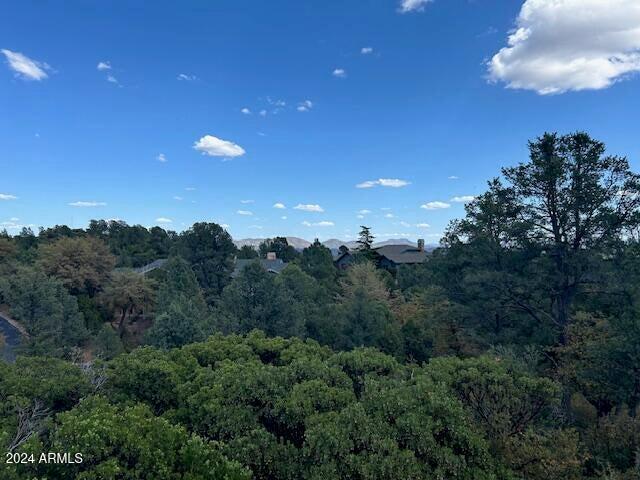 2314 East Blue Bell Circle, Unit 143 Payson, AZ 85541 - Photo 4 of 13 53