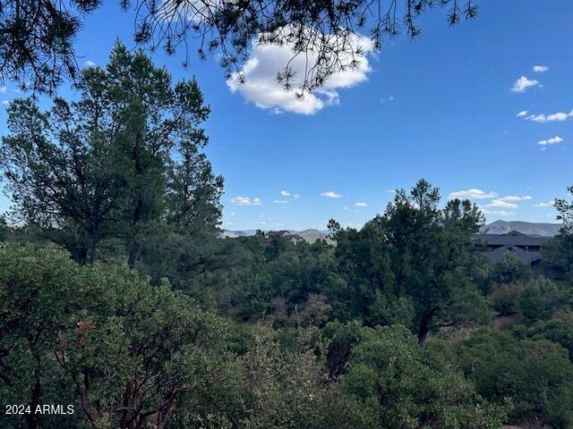 2314 East Blue Bell Circle, Unit 143 Payson, AZ 85541 - Photo 7 of 13 57