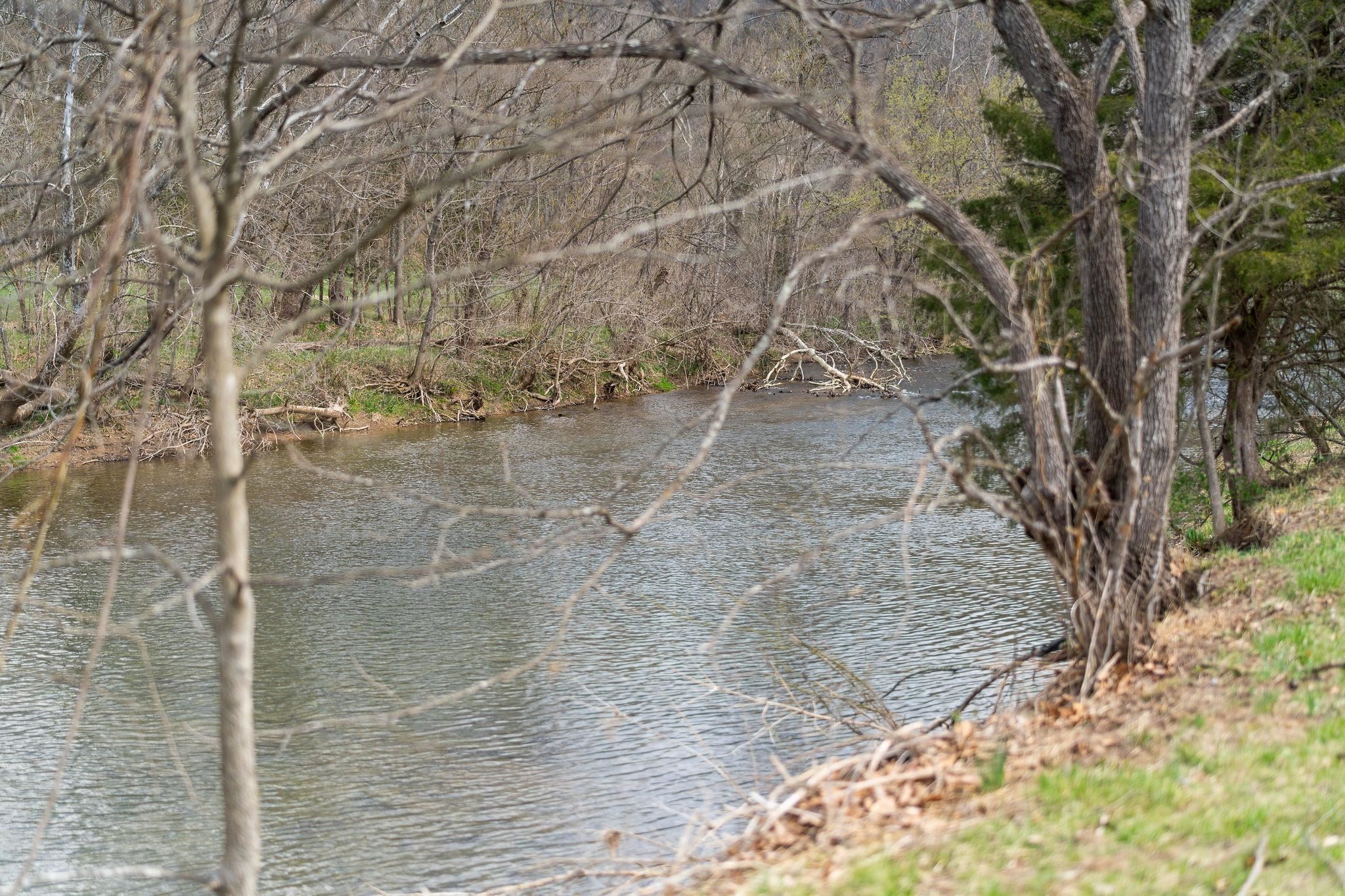 53 Fort River Road Verona, VA 24482 - Photo 47 of 75