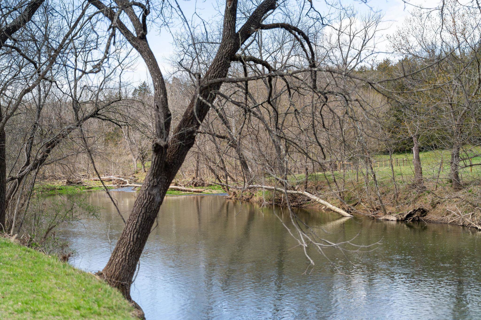 53 Fort River Road Verona, VA 24482 - Photo 49 of 75 a view of a yard with a tree