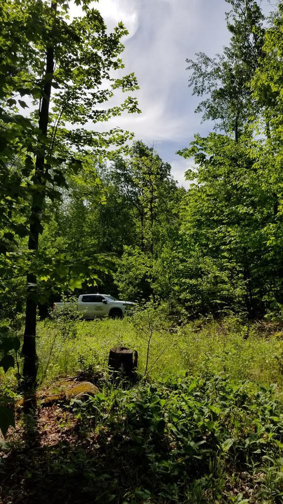 . Skerry Road North Bangor, NY 12966 - Photo 21 of 28 Gallery Image 21
