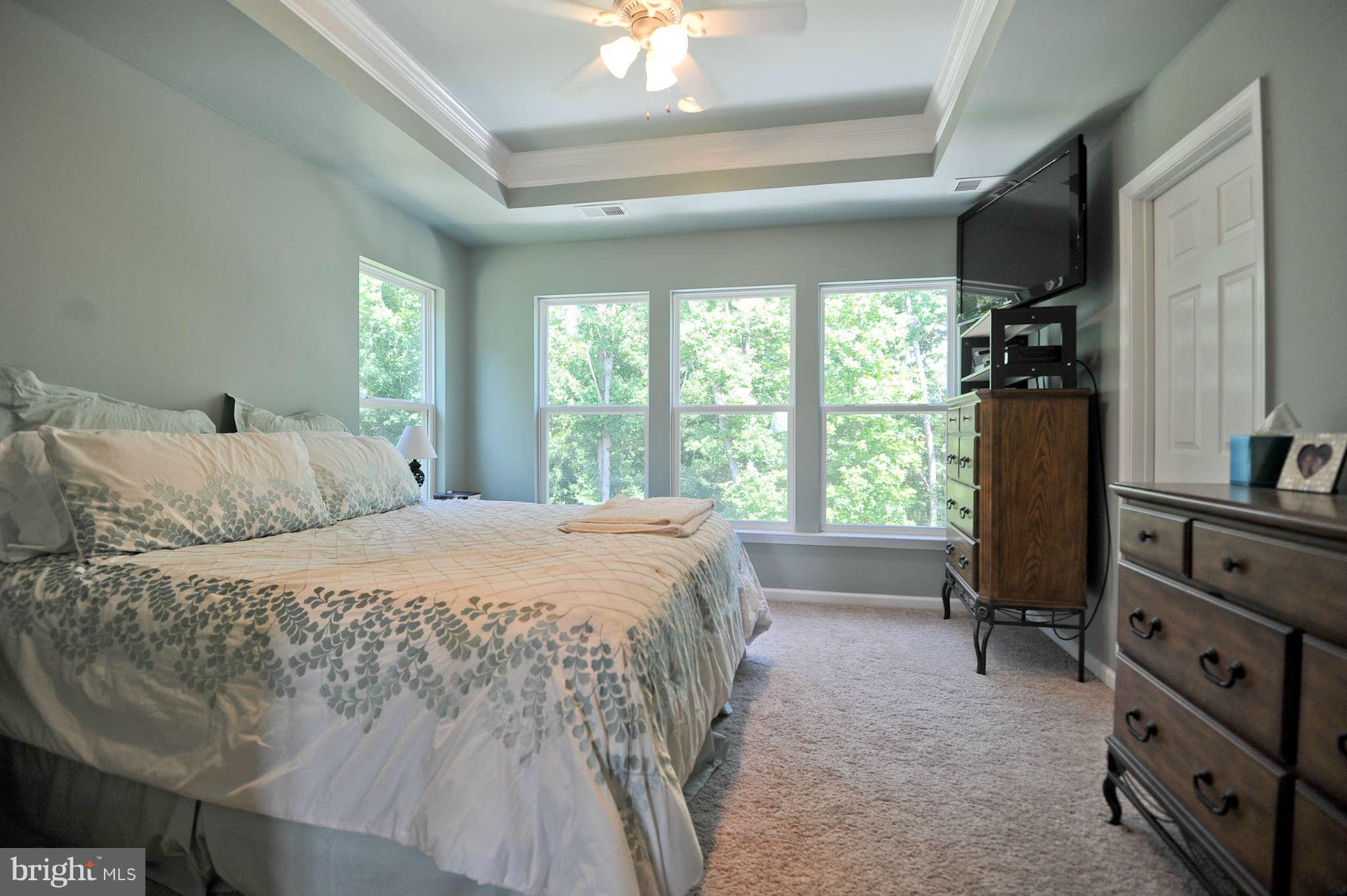 22440 Snow Powder Terrace Ashburn, VA 20148 - Photo 14 of 30 Bedroom