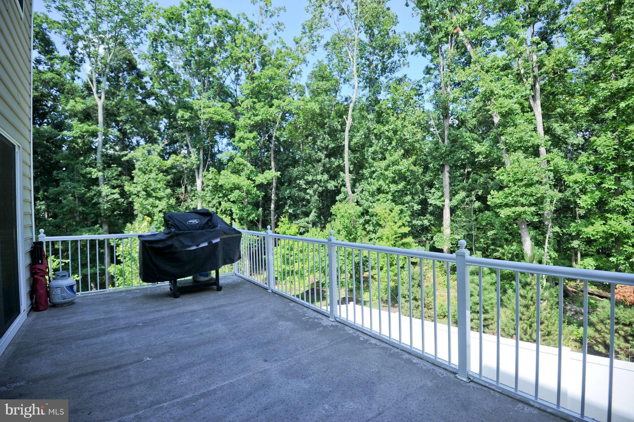 22440 Snow Powder Terrace Ashburn, VA 20148 - Photo 22 of 30 View