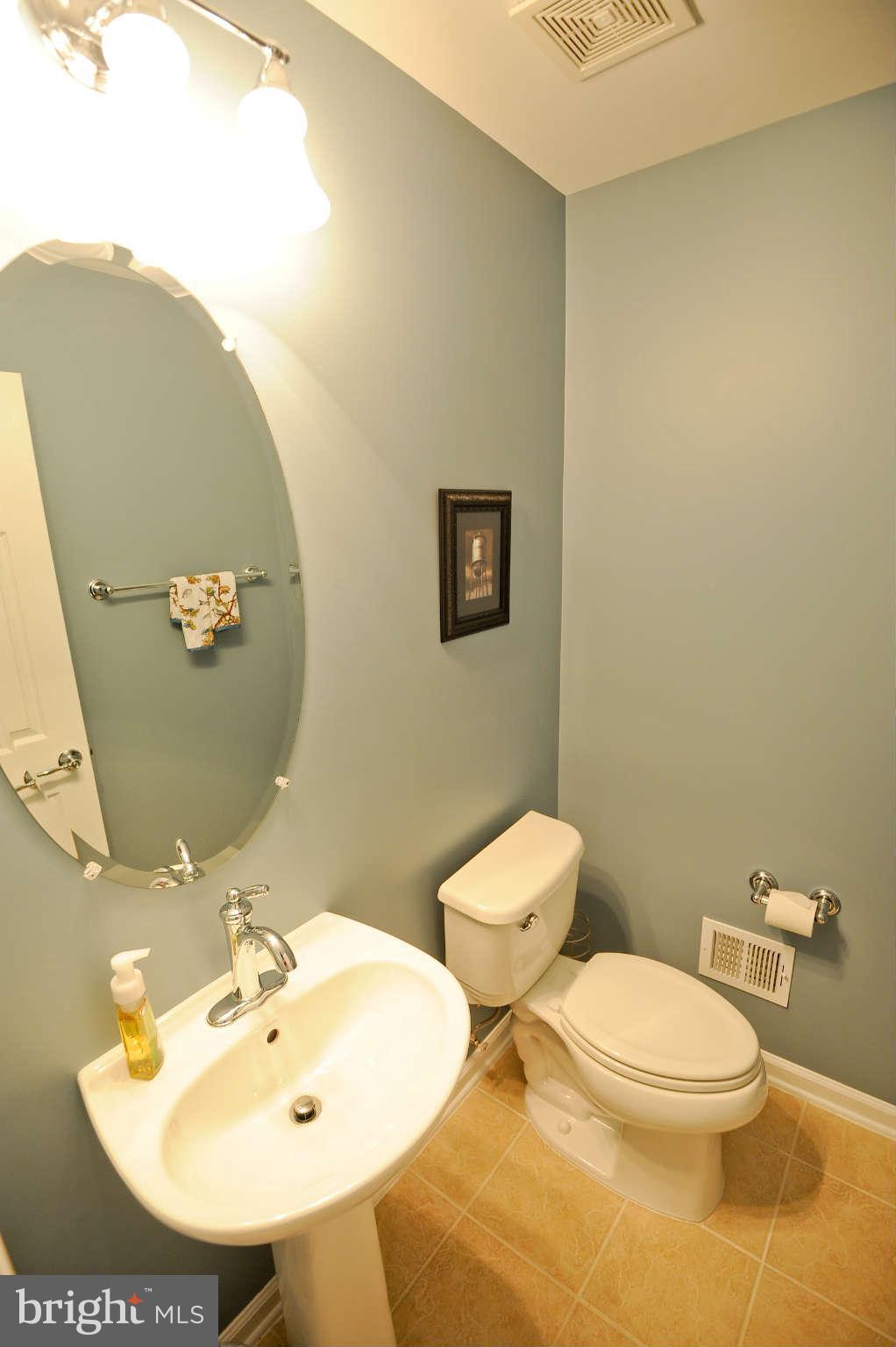 22440 Snow Powder Terrace Ashburn, VA 20148 - Photo 26 of 30 Basement