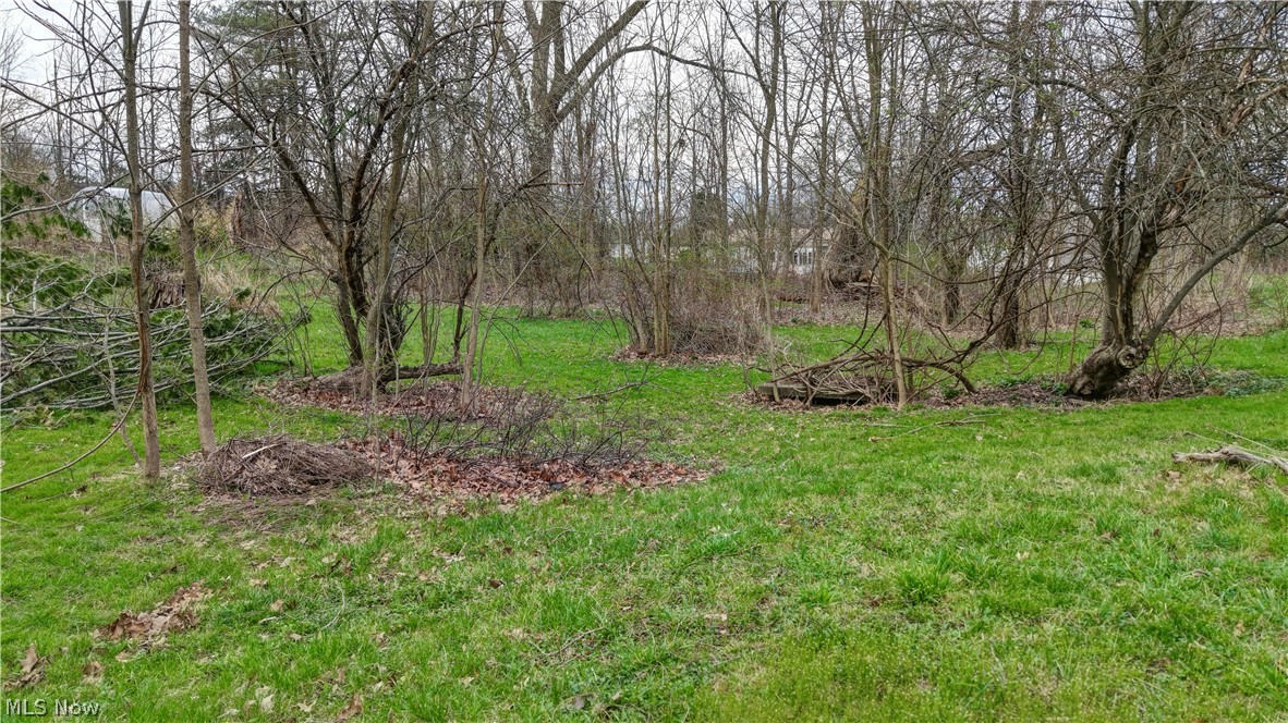 Pardee Road Stow, OH 44224 - Photo 9 of 14