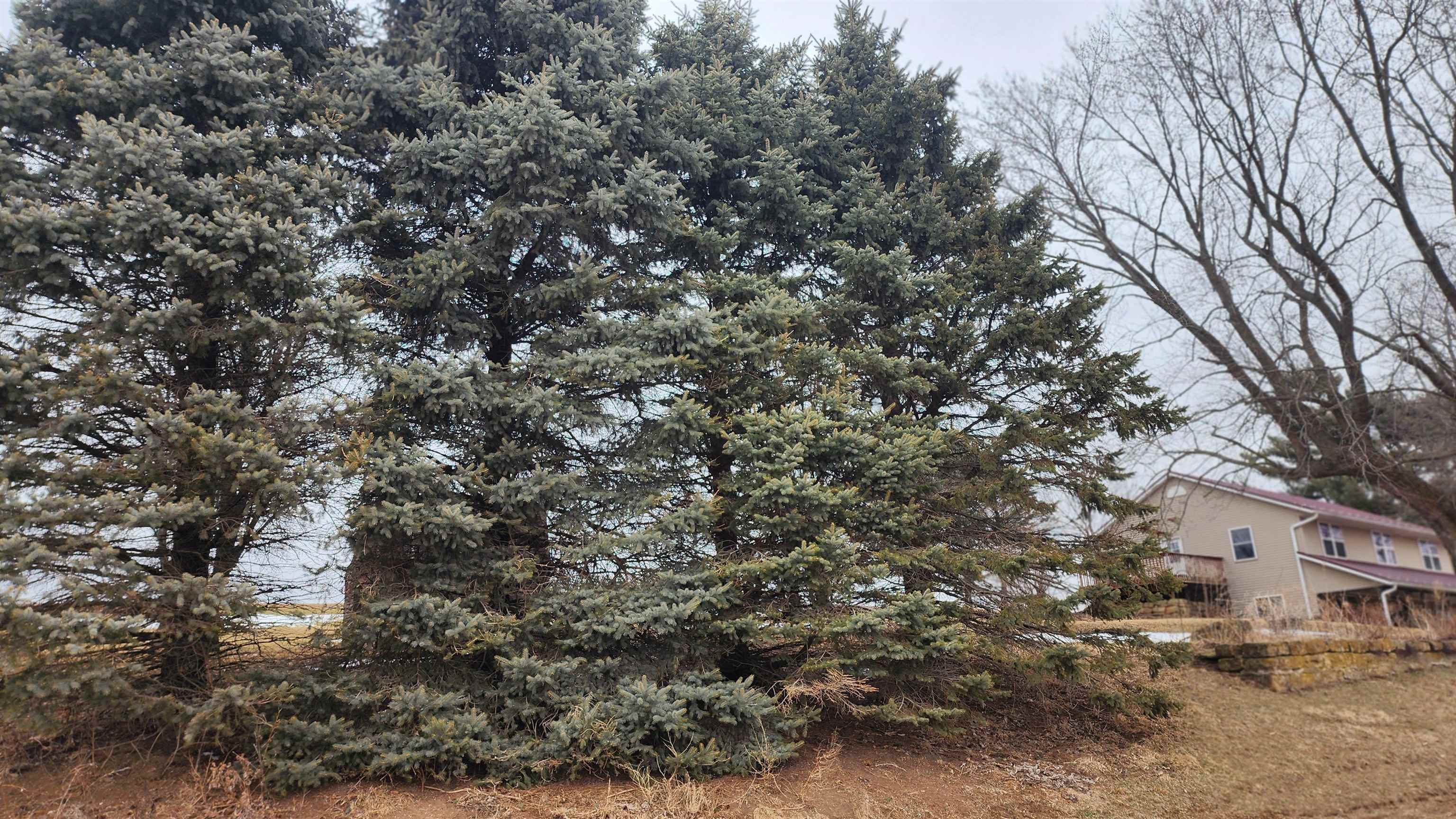 14177 Irish Ridge Road Woodman, WI 53827 - Photo 28 of 57