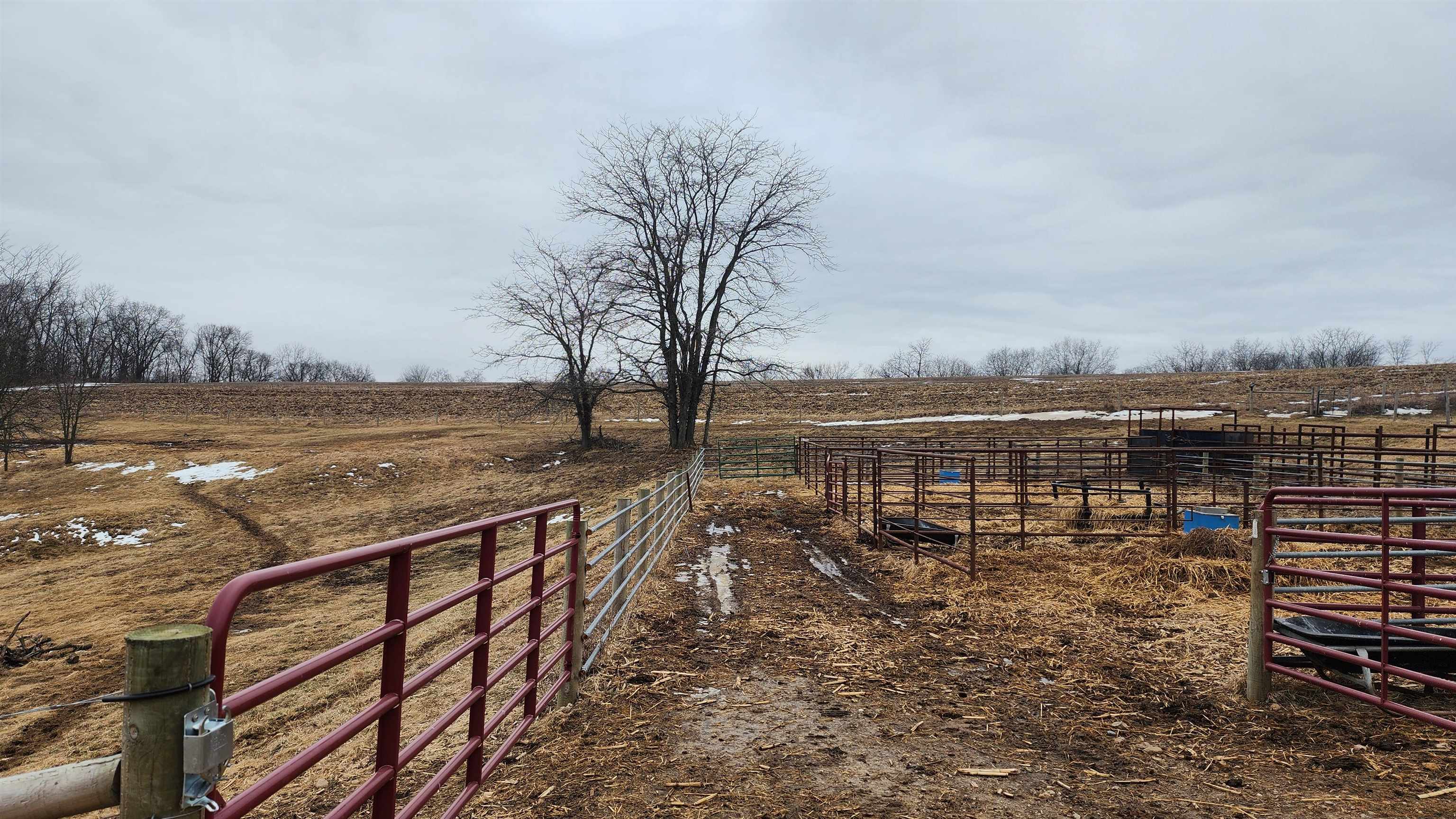 14177 Irish Ridge Road Woodman, WI 53827 - Photo 35 of 57