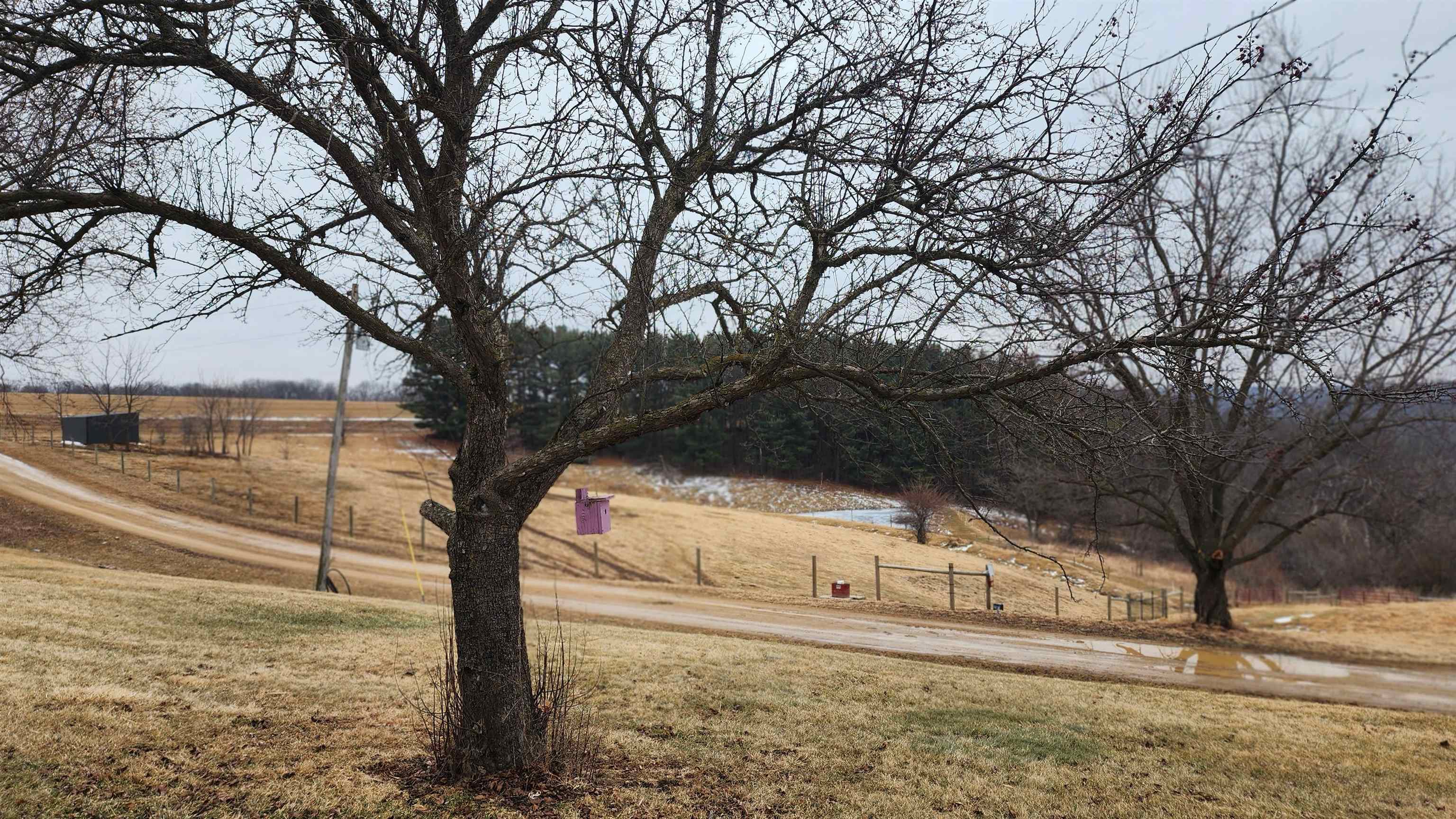 14177 Irish Ridge Road Woodman, WI 53827 - Photo 37 of 57