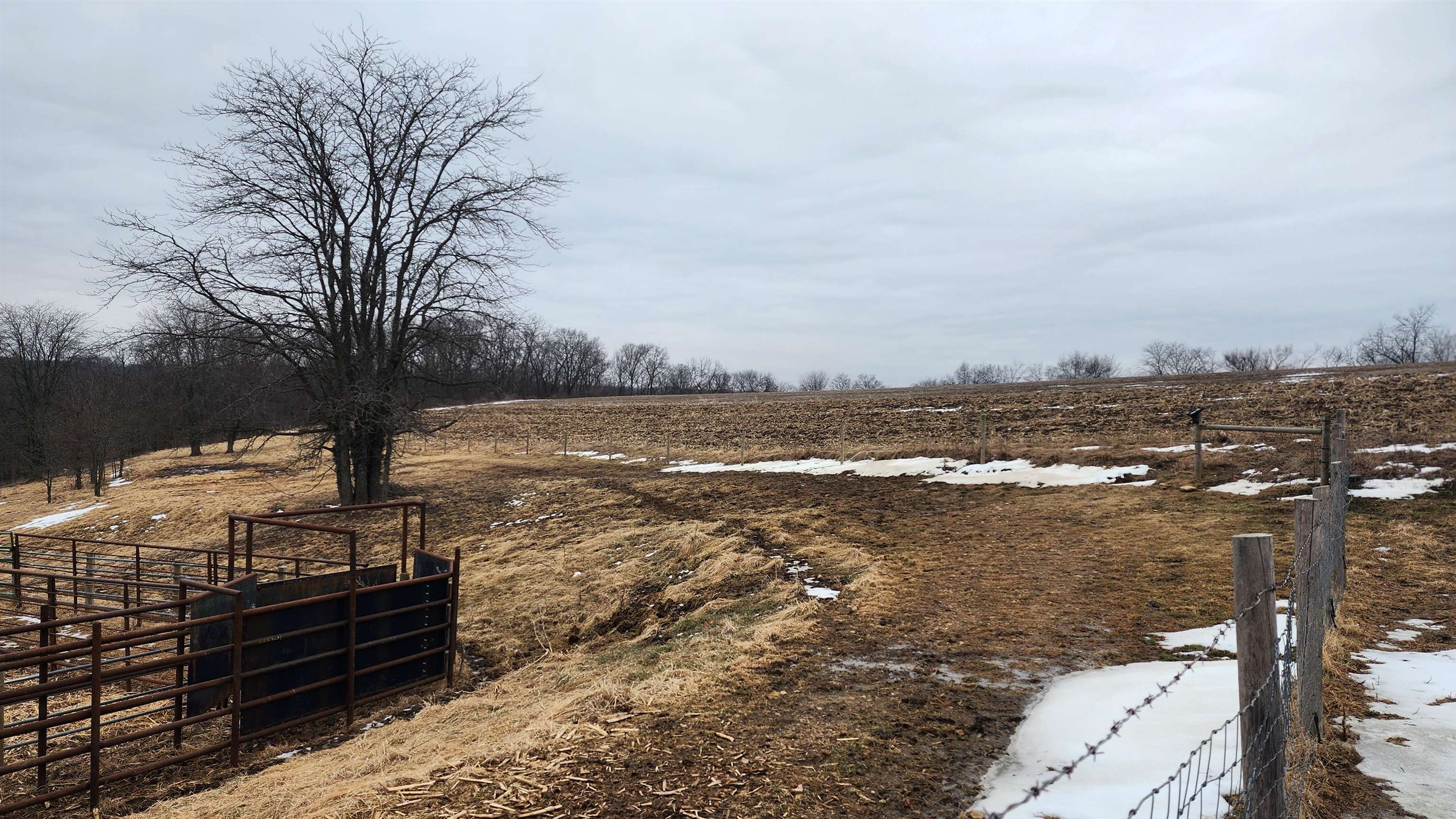 14177 Irish Ridge Road Woodman, WI 53827 - Photo 43 of 57