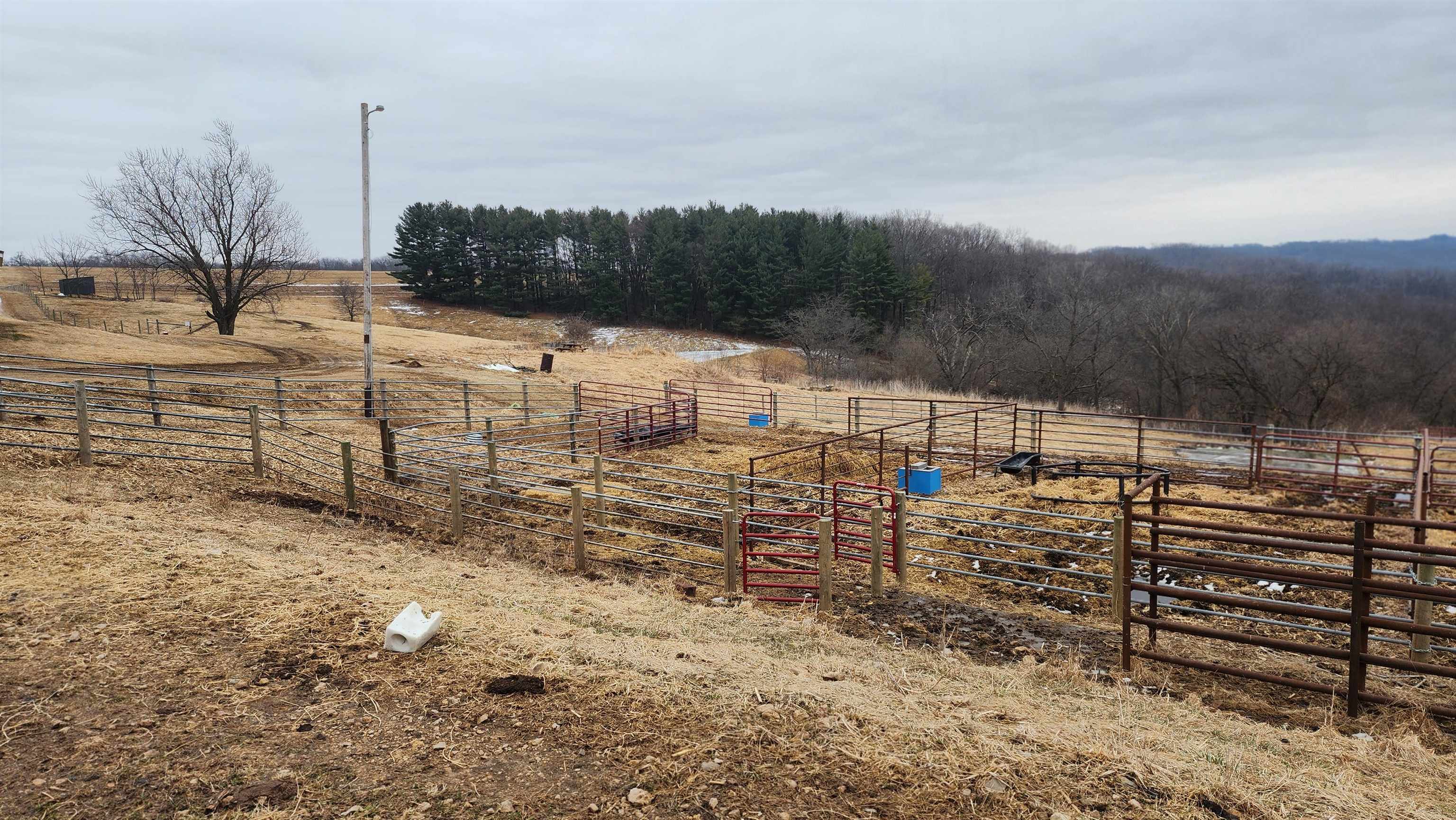 14177 Irish Ridge Road Woodman, WI 53827 - Photo 48 of 57