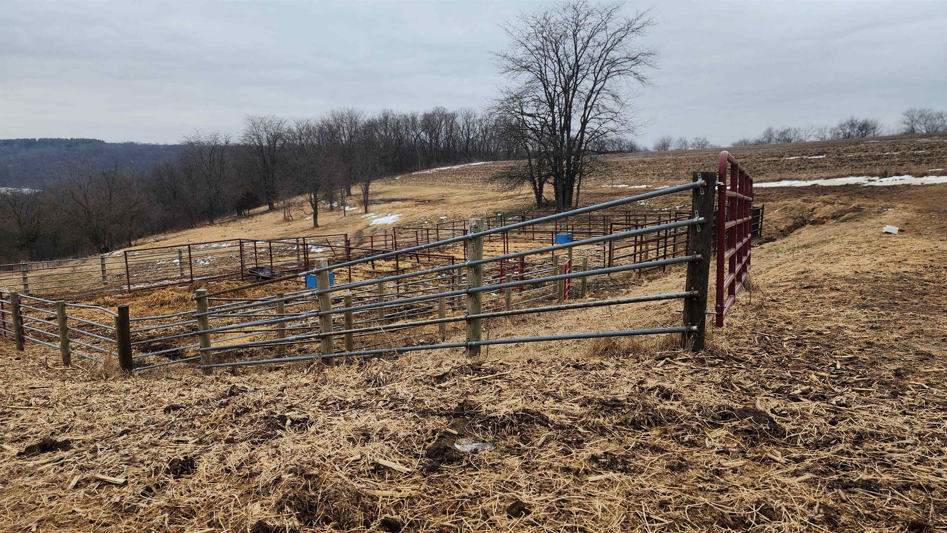 14177 Irish Ridge Road Woodman, WI 53827 - Photo 49 of 57