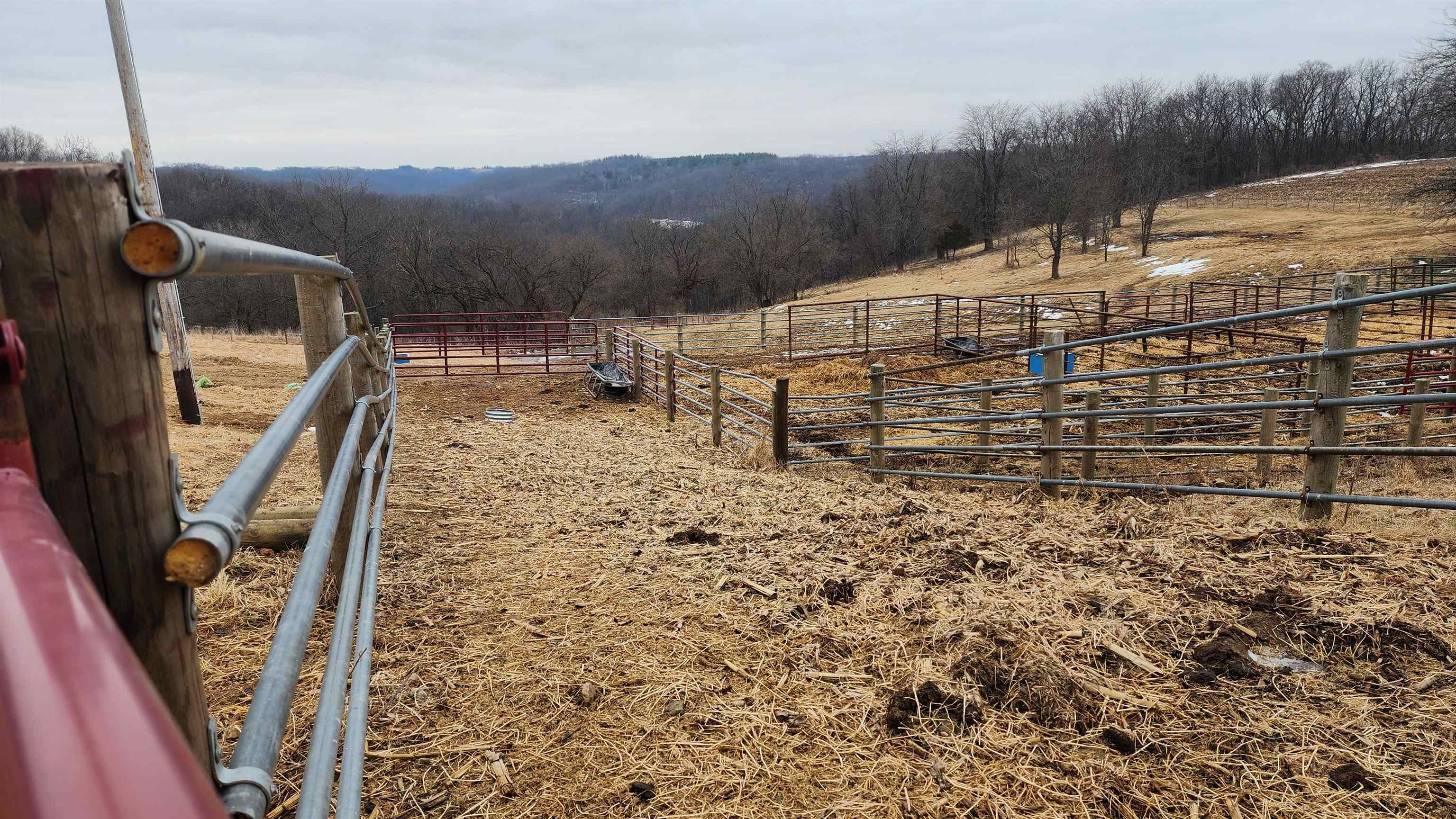 14177 Irish Ridge Road Woodman, WI 53827 - Photo 50 of 57