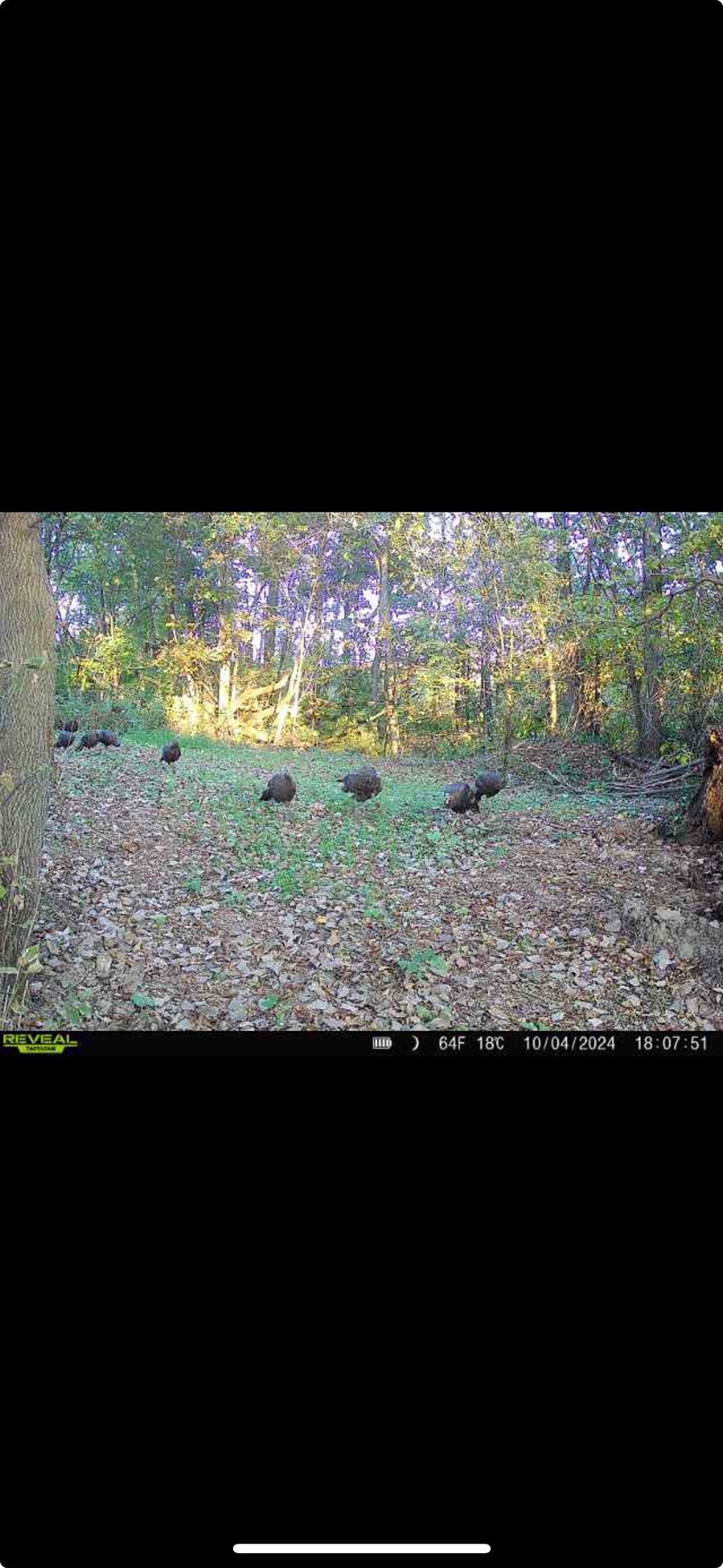 14177 Irish Ridge Road Woodman, WI 53827 - Photo 51 of 57