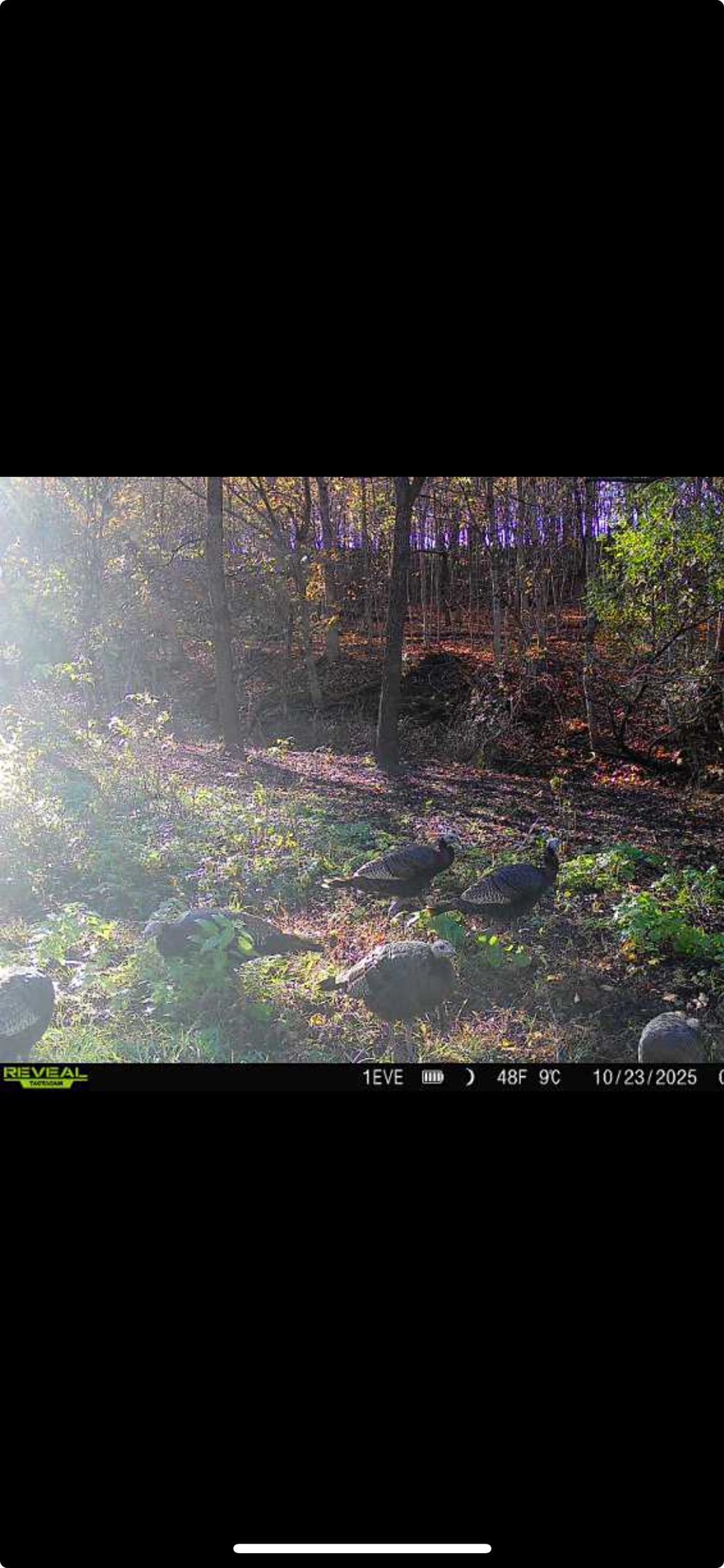 14177 Irish Ridge Road Woodman, WI 53827 - Photo 52 of 57