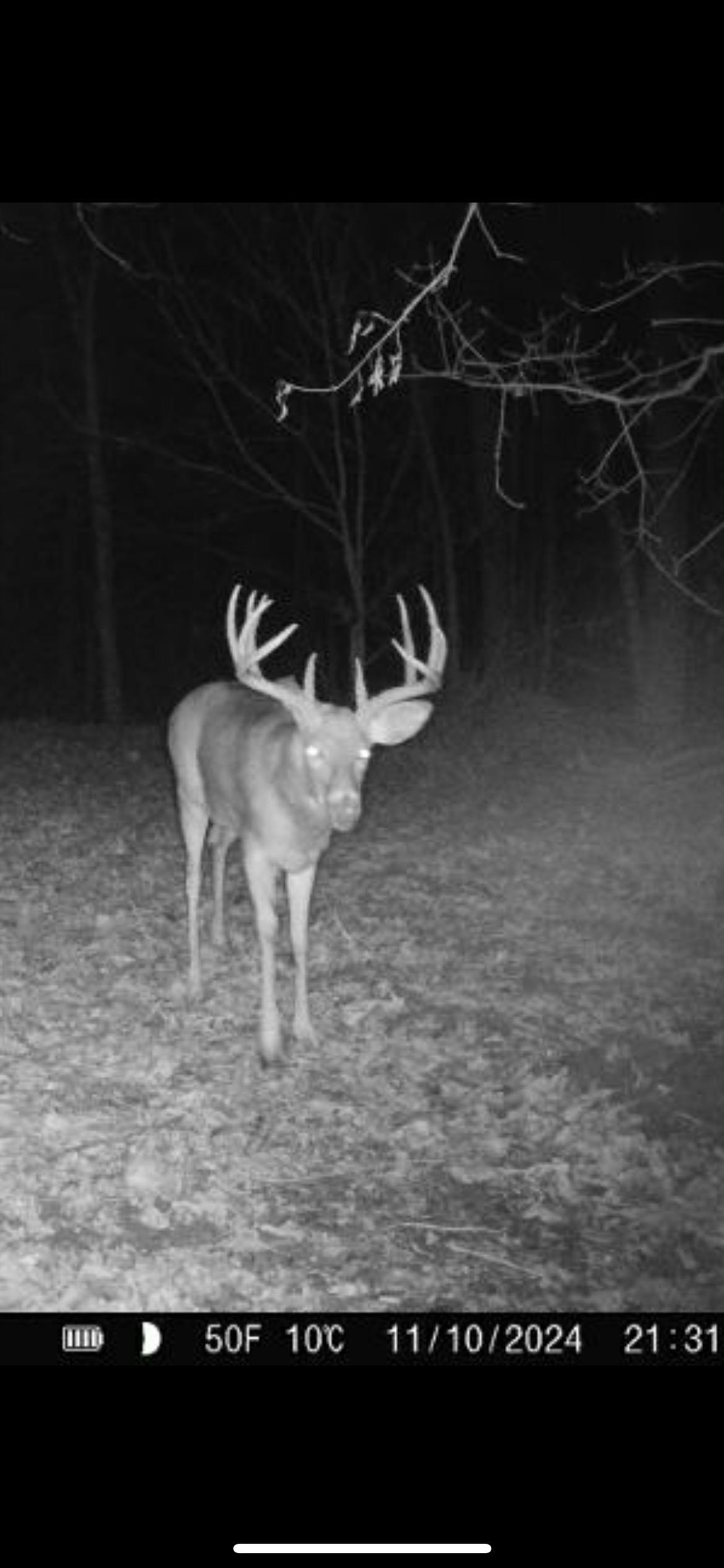 14177 Irish Ridge Road Woodman, WI 53827 - Photo 54 of 57