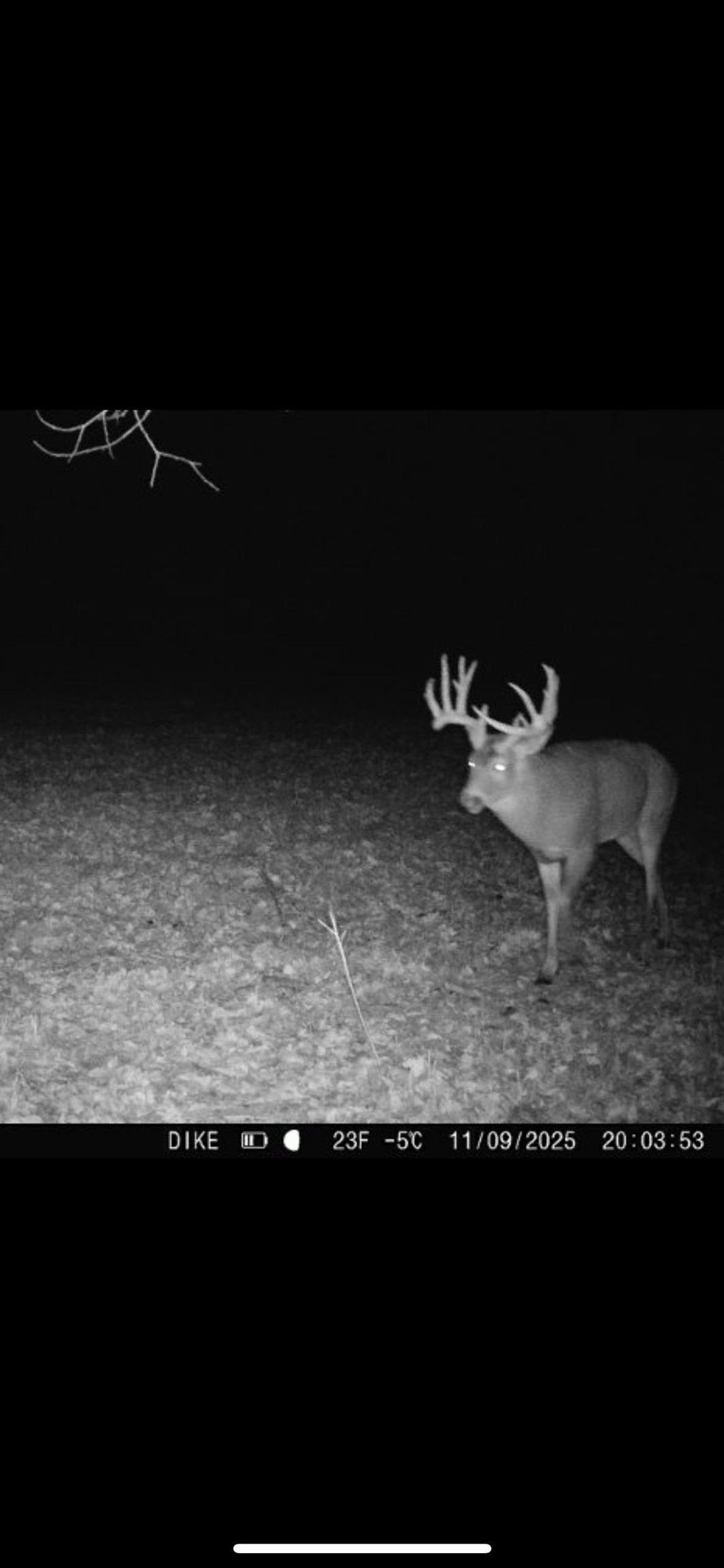 14177 Irish Ridge Road Woodman, WI 53827 - Photo 55 of 57