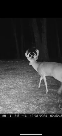 $799,900 | 14177 Irish Ridge Road, Woodman, WI 53827