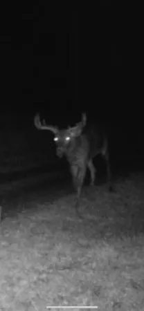 $799,900 | 14177 Irish Ridge Road, Woodman, WI 53827