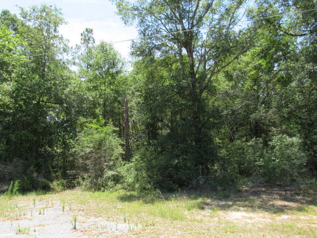 2.42 Country Living Road Baker, FL 32531 - Photo 5 of 5 a view of a lake view