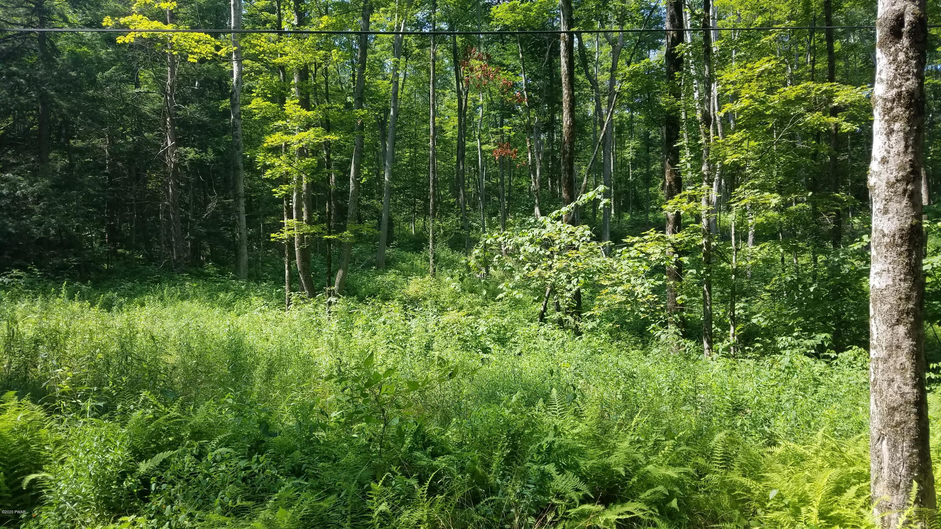 48 Wild Acres Road Lake Ariel, PA 18436 - Photo 5 of 9