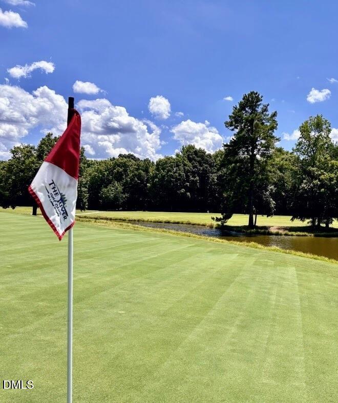 127 Prairie Dog Drive Louisburg, NC 27549 - Photo 3 of 6 Golf1