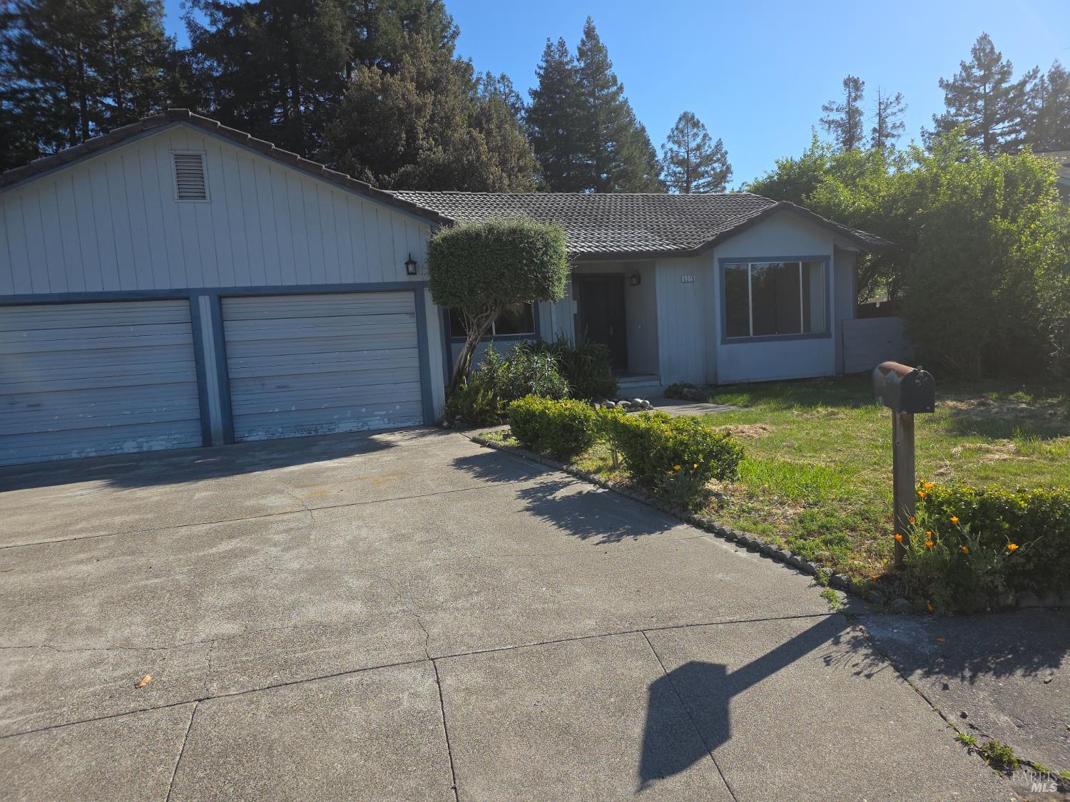 a view of a house with backyard and garden