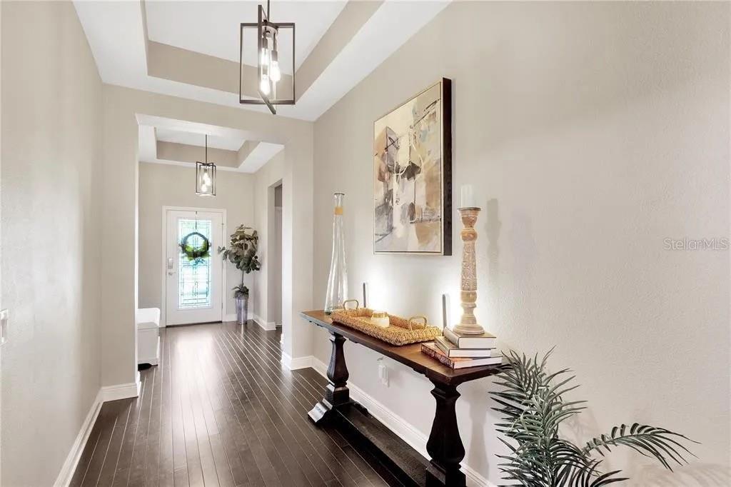 1607 Feather Grass Loop Lutz, FL 33558 - Photo 3 of 25