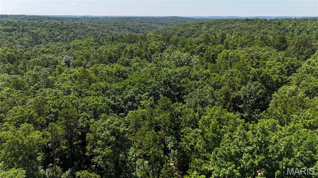 Tbd Tbd Antler Ridge Bunker, MO 63629 - Photo 17 of 26