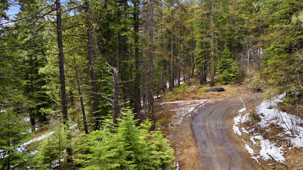 37 Arling Trail Cascade, ID 83611 - Photo 11 of 16 Close to Tamarack, Lake Access and Outdoor Recreation