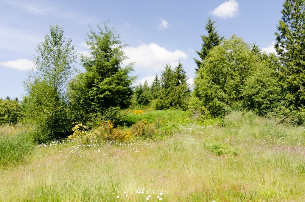 33209 Locke Road Roy, WA 98580 - Photo 11 of 25 Gallery Image 11
