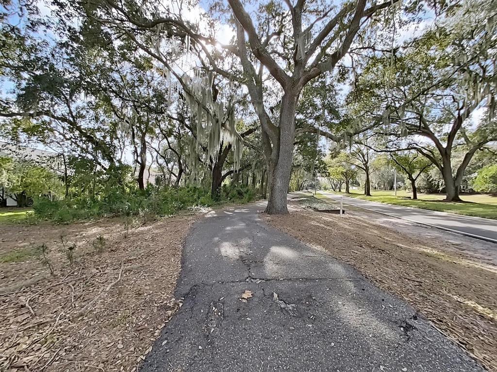 3307 Kilmer Place Plant City, FL 33566 - Photo 31 of 32 a view of dirt yard with a large tree