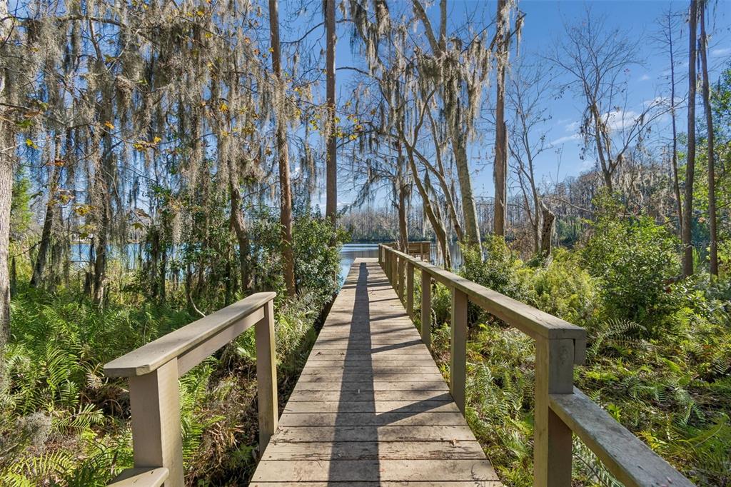 6070 Drexel Road Land O' Lakes, FL 34638 - Photo 16 of 23 a view of balcony and yard