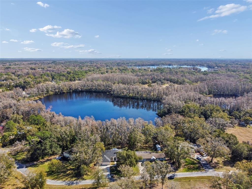 6070 Drexel Road Land O' Lakes, FL 34638 - Photo 21 of 23 an aerial view of residential house with outdoor space and trees around
