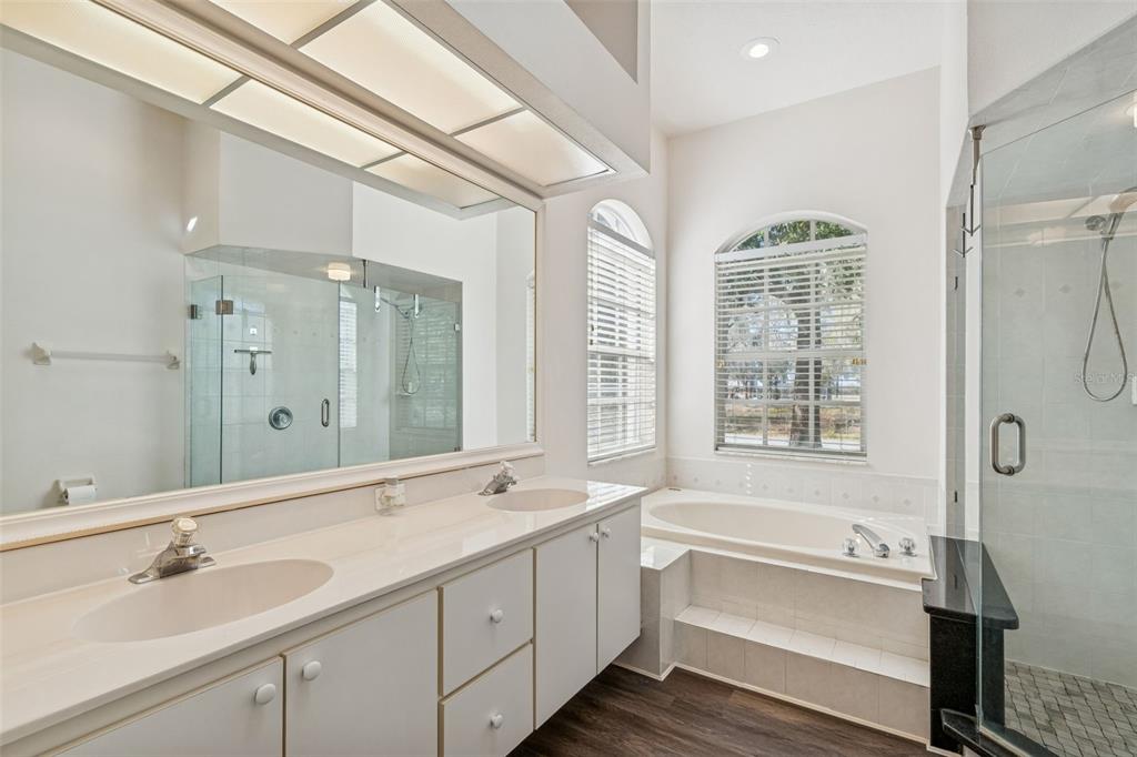 6070 Drexel Road Land O' Lakes, FL 34638 - Photo 9 of 23 a bathroom with a tub sink double vanity window and mirror