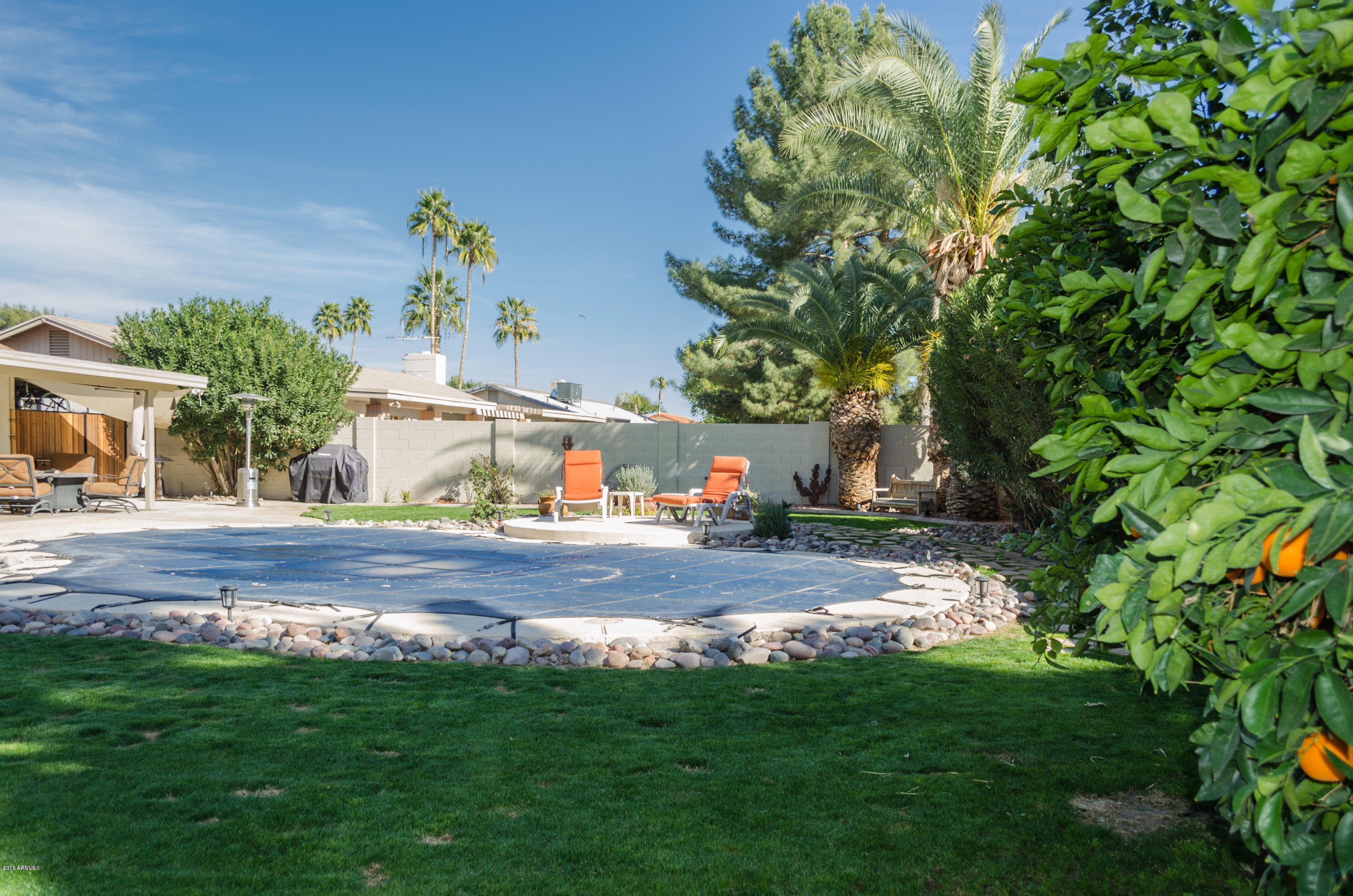 4309 East Redfield Road Phoenix, AZ 85032 - Photo 2 of 26 Pool-1