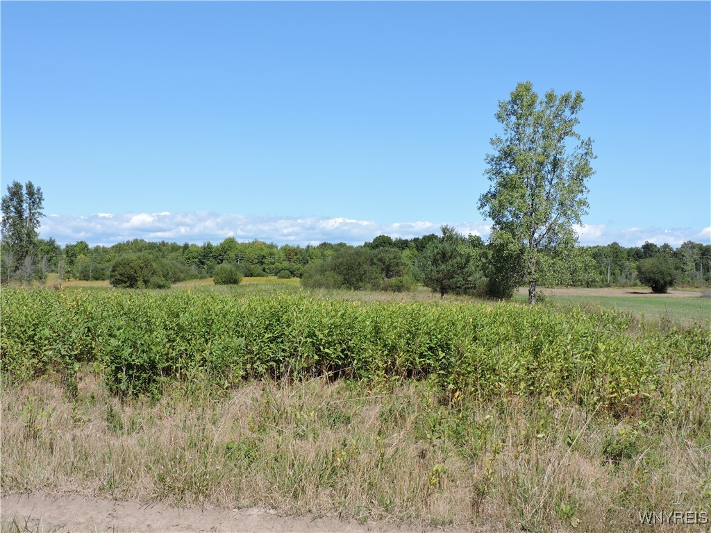 From Road Frontage