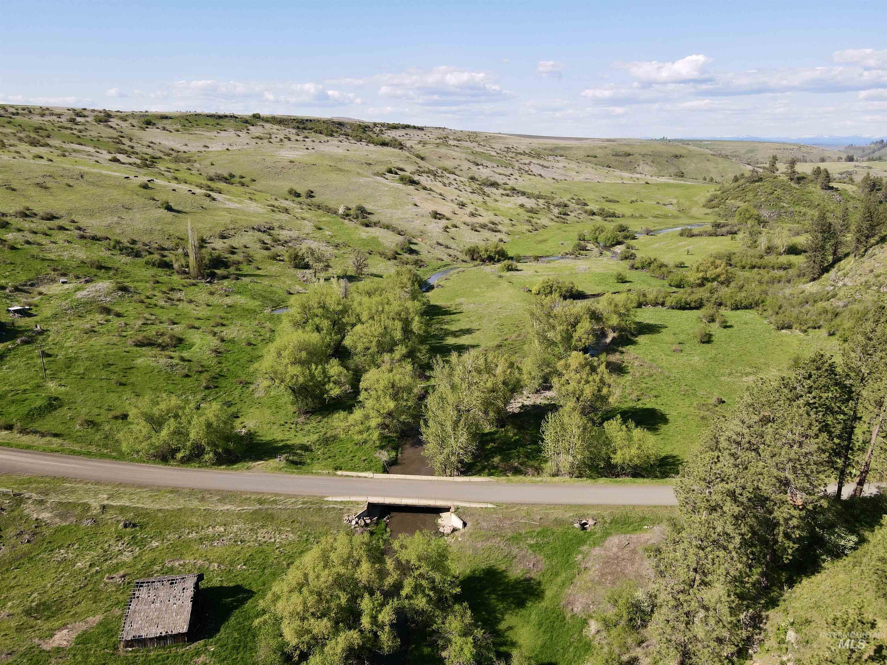 1349 Reservation Line Road Grangeville, ID 83530 - Photo 13 of 37