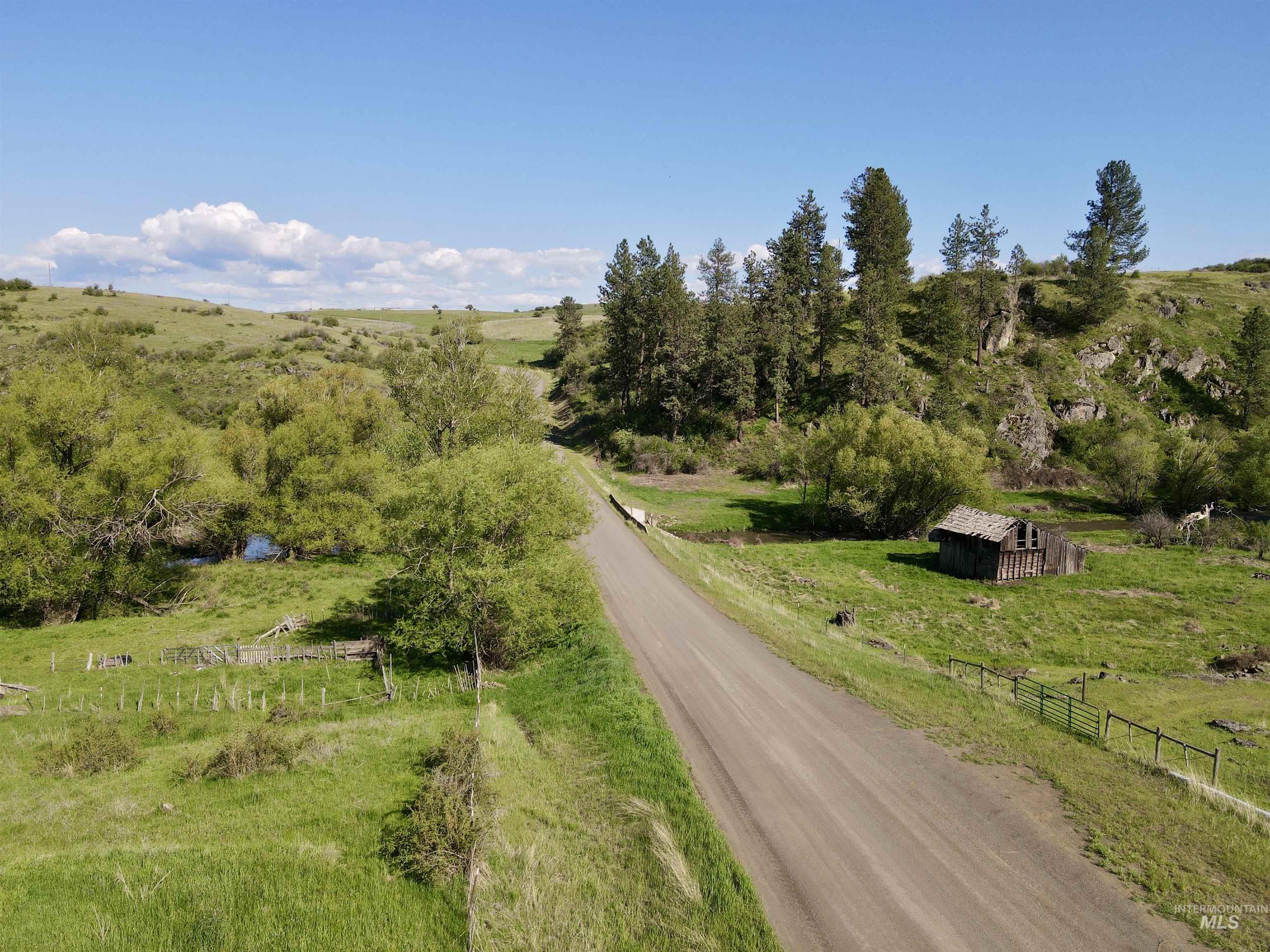1349 Reservation Line Road Grangeville, ID 83530 - Photo 15 of 37