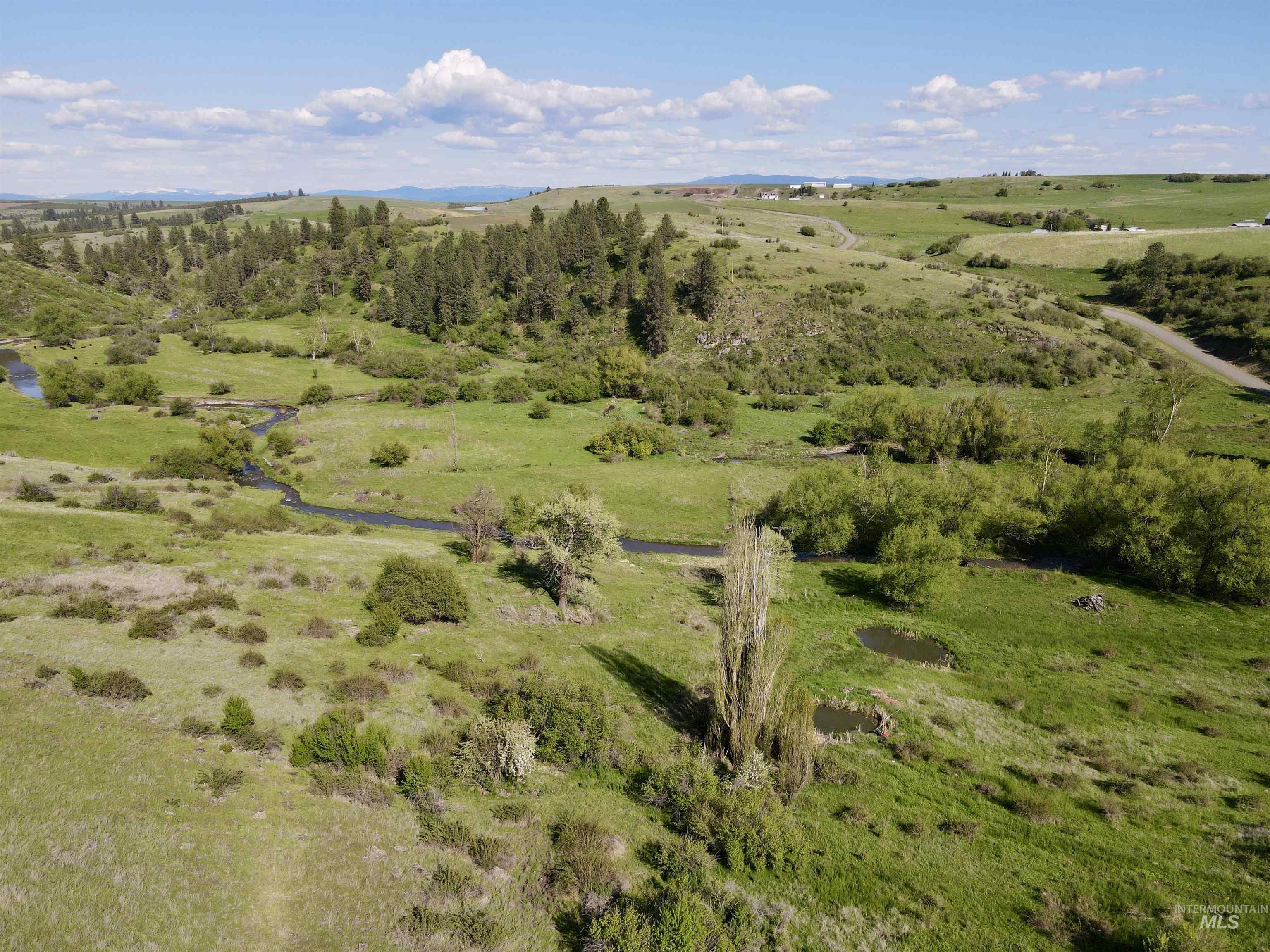 1349 Reservation Line Road Grangeville, ID 83530 - Photo 7 of 37