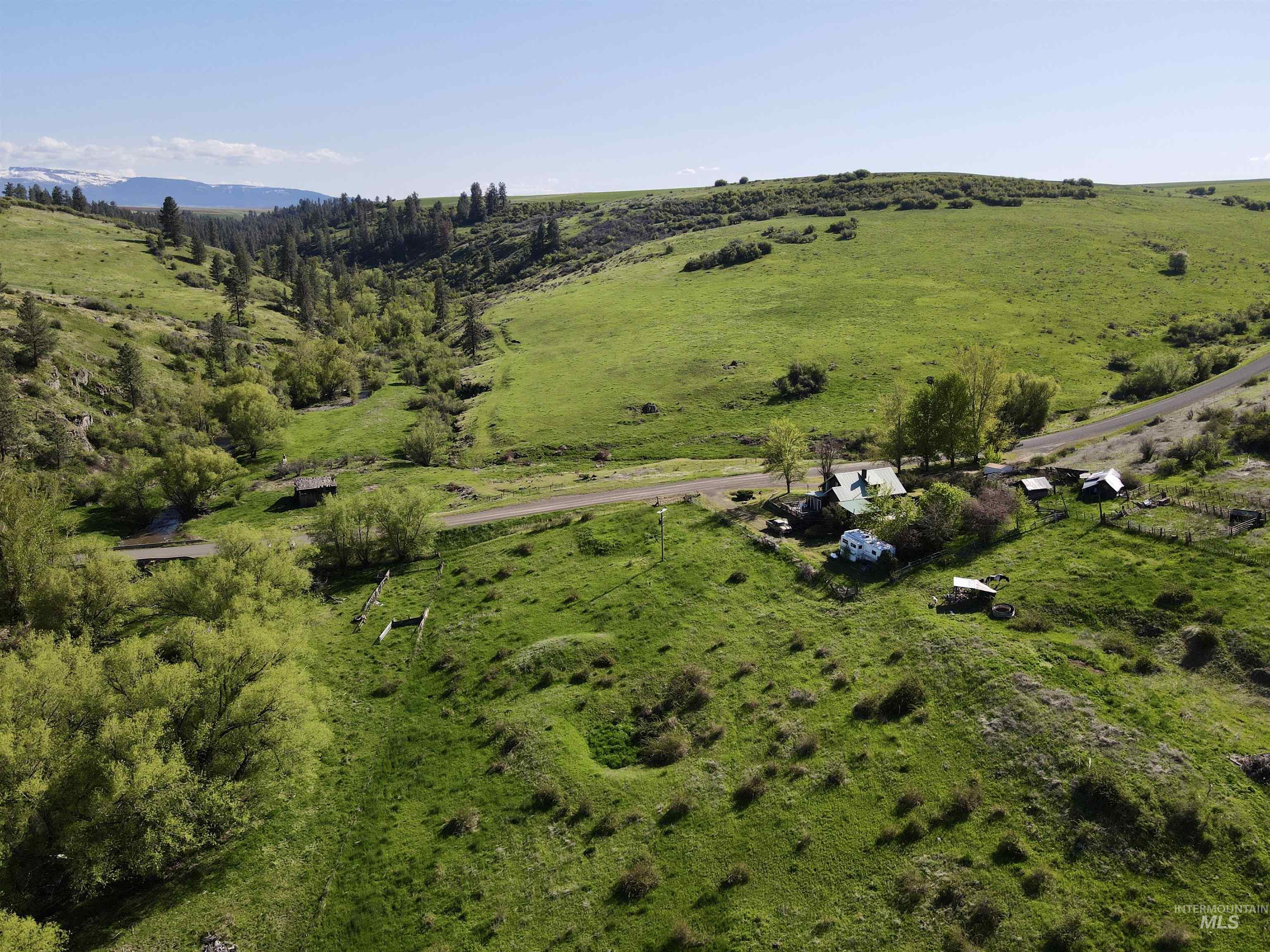 1349 Reservation Line Road Grangeville, ID 83530 - Photo 9 of 37
