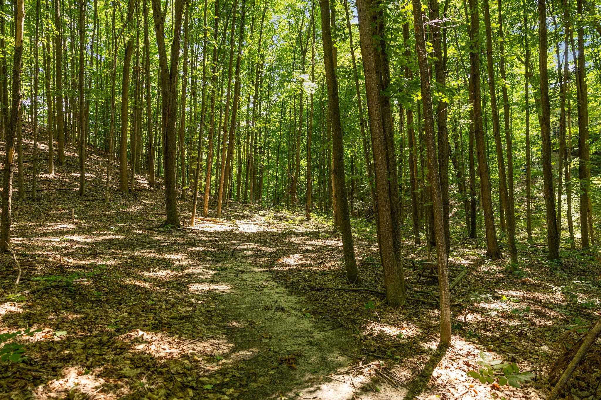 4651 Barnes Road Traverse City, MI 49684 - Photo 61 of 98 Gallery Image 61
