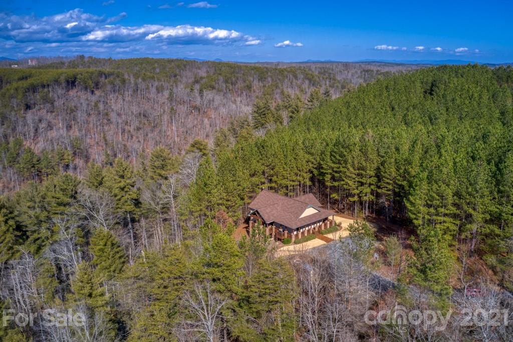 281 Contuck Ln Mill Spring Mill Spring, NC 28756 - Photo 2 of 46