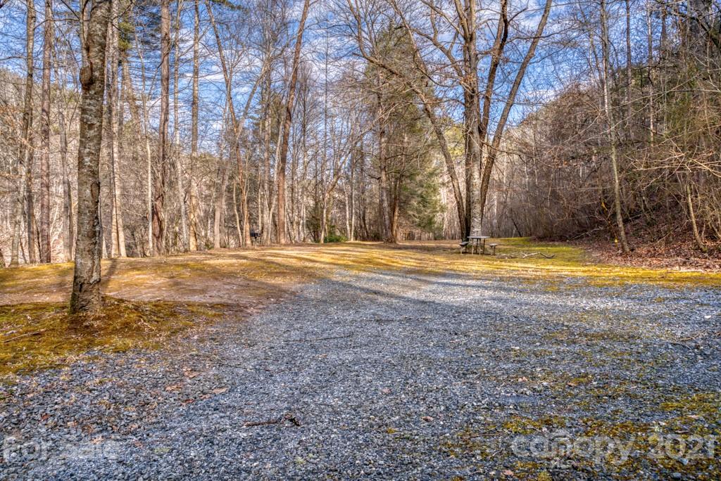 281 Contuck Ln Mill Spring Mill Spring, NC 28756 - Photo 45 of 46