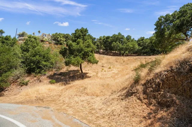 a view of a yard with trees