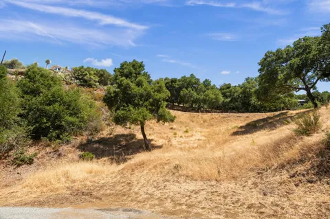 a view of a yard with trees