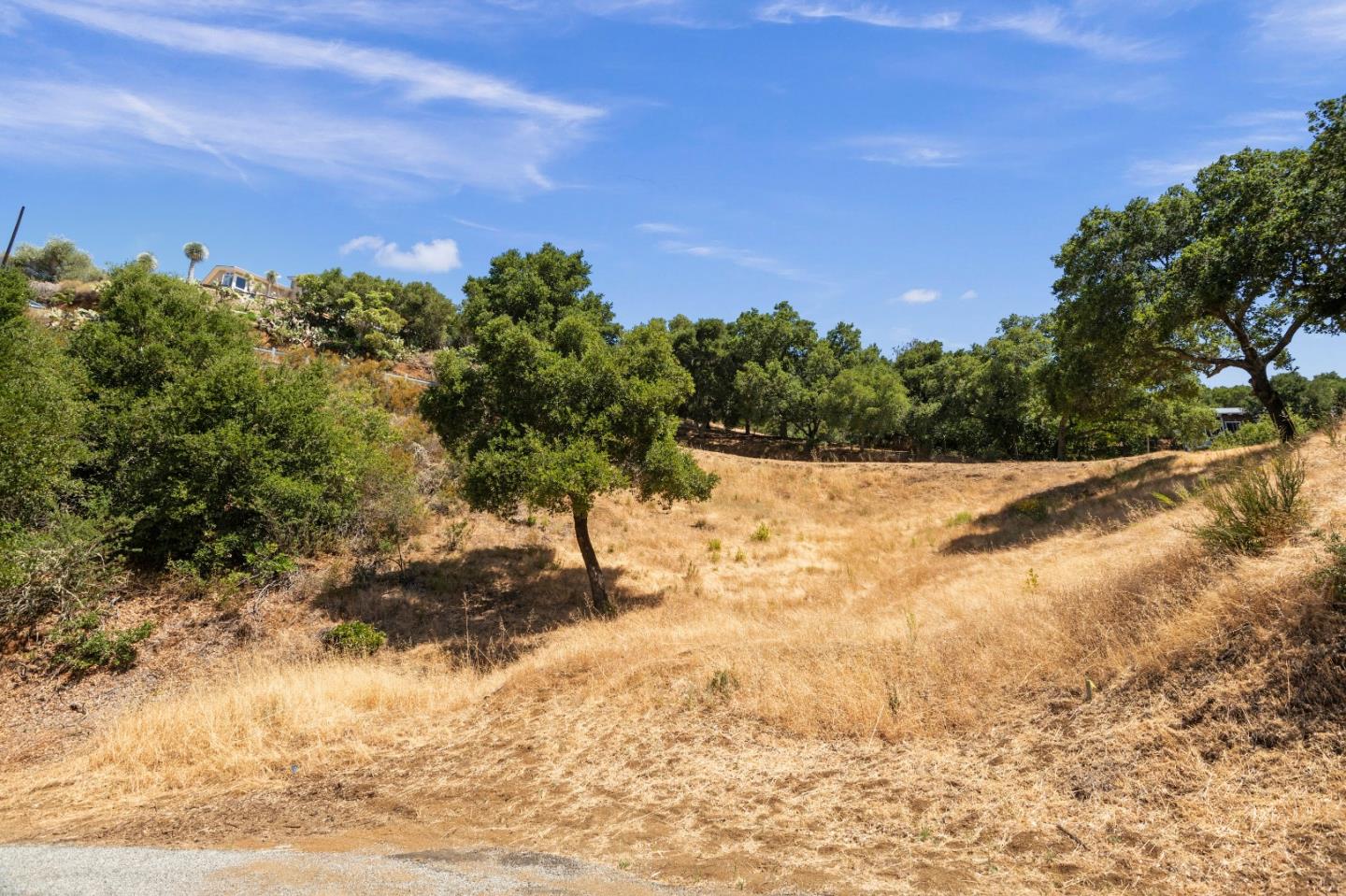 0 Moody Road Los Altos, CA 94022 - Photo 3 of 6 a view of a yard with trees